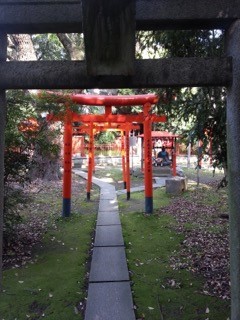 Red archways in Japan